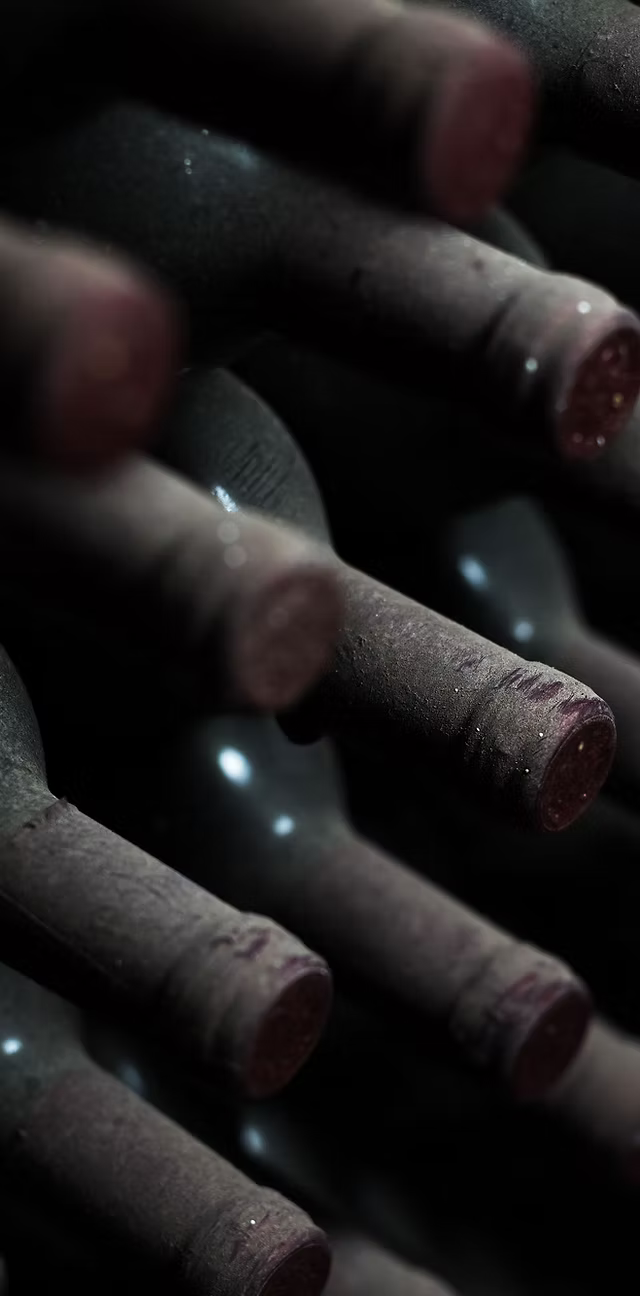 Elaboración en Bodega Kindgard